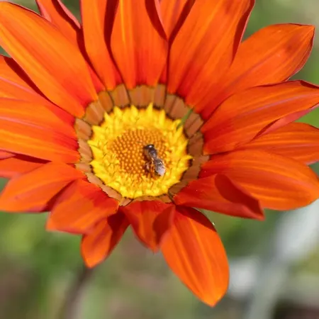 Oda ve Kahvaltı Bessy 10 Antibes