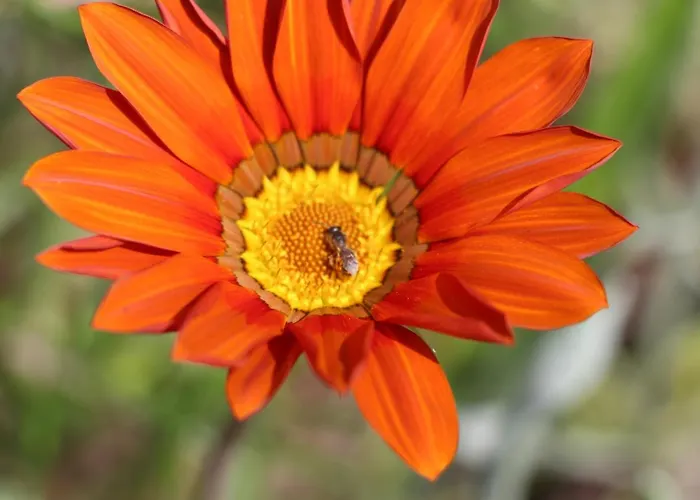 Frühstückspension Bessy 10 Antibes